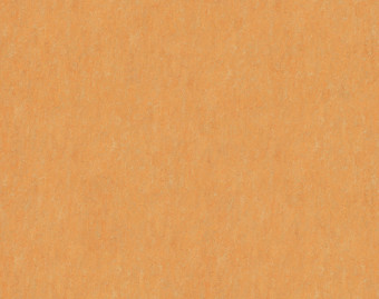 [100111111_24] Marmoleum Real - 3847 golden saffron